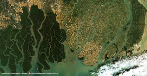 Aerial view of dense mangrove forest and waterways in the Sundarbans, Bangladesh.
