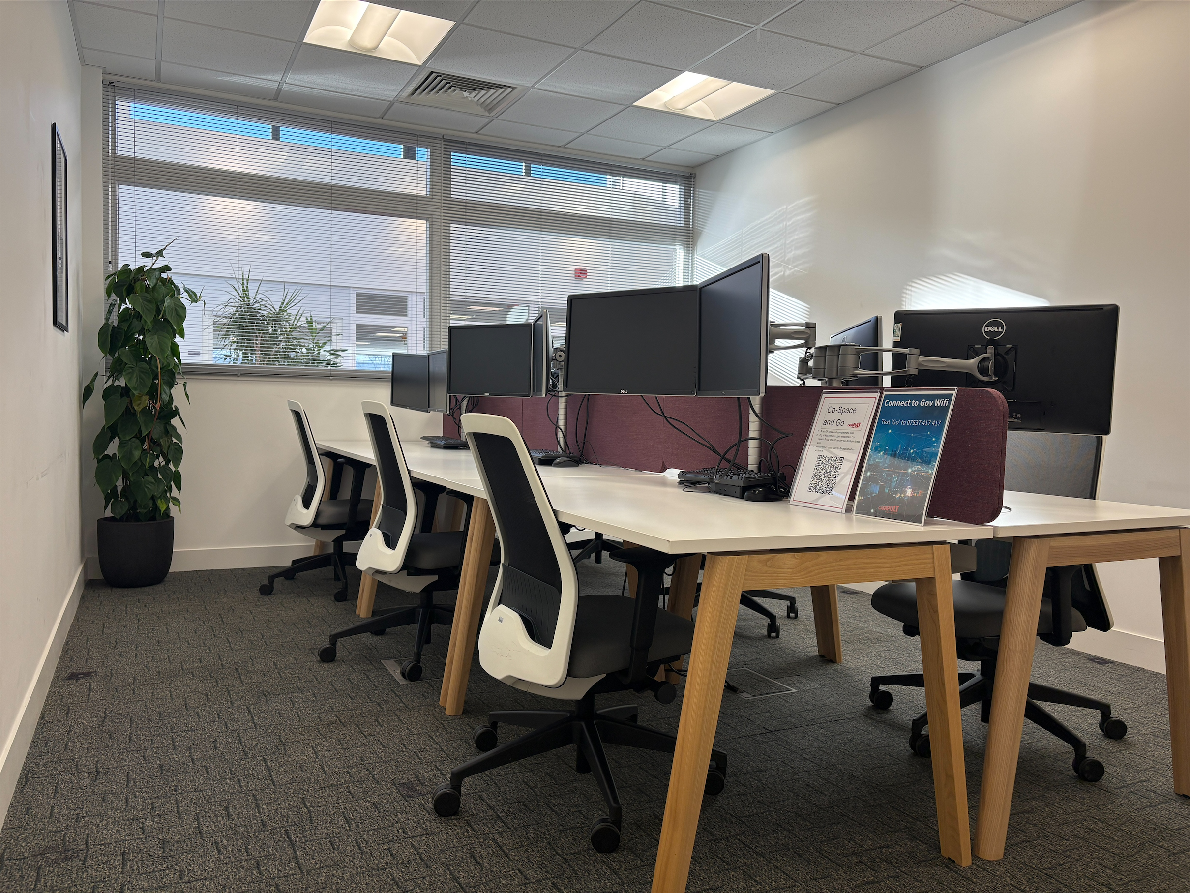 Modern office with rows of empty desks, office chairs, computer monitors, and large windows letting in light.