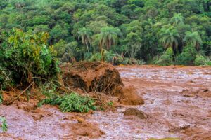 Mudslide with uprooted trees in a forested area, showing dense vegetation and brown, muddy terrain.