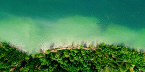 Aerial view of a lush green forest alongside a turquoise lake.