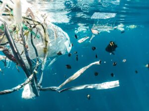 Fish swimming among floating plastic debris in clear blue ocean water.