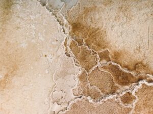 Close-up of textured mineral deposits forming intricate patterns in shades of beige and brown.