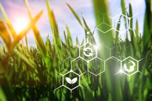 Close-up of grass with sunlight and hexagonal icons overlayed, symbolizing technology and sustainability.