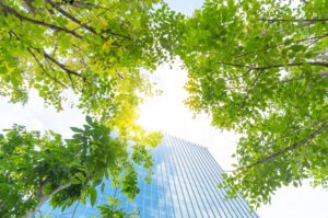 View from below of green tree leaves framing a tall, modern glass building against a bright blue sky.