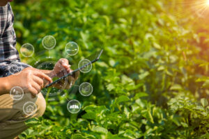 Person using tablet in a green field with overlay icons for technology and agriculture.
