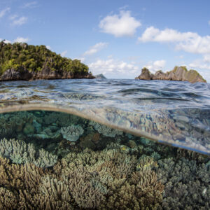 A split view of underwater corals and lush green islands under a bright blue sky with scattered clouds.