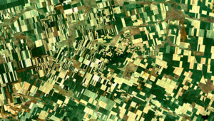 Aerial view of patchwork farmland with green and beige fields in varied geometric shapes.