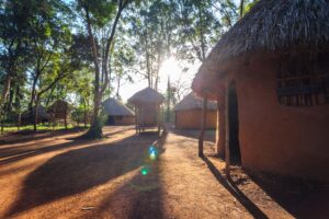 Sunlit traditional round huts with thatched roofs surrounded by trees casting long shadows on the ground.