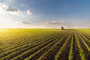 A tractor working on a vast green farm field under a blue sky with scattered clouds.