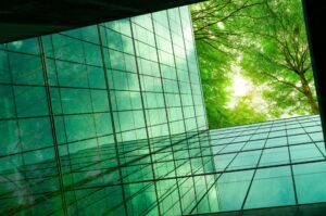View of trees reflecting on a glass building facade, creating a serene blend of architecture and nature.