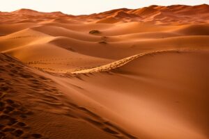 Smooth, gently undulating sand dunes stretch into the distance under a clear sky, with faint footprints visible.