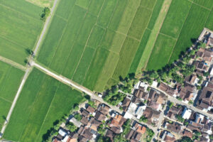 Aerial view of green rice fields adjacent to a cluster of houses with red roofs.