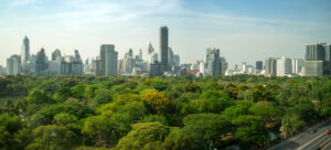 City skyline with tall buildings behind a large green park under a blue sky.