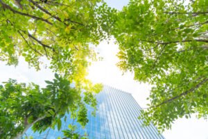 View of a glass skyscraper through lush green tree branches under a bright sky.