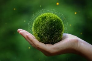 Hand holding a green mossy sphere with a transparent geometric overlay, against a blurred green background.