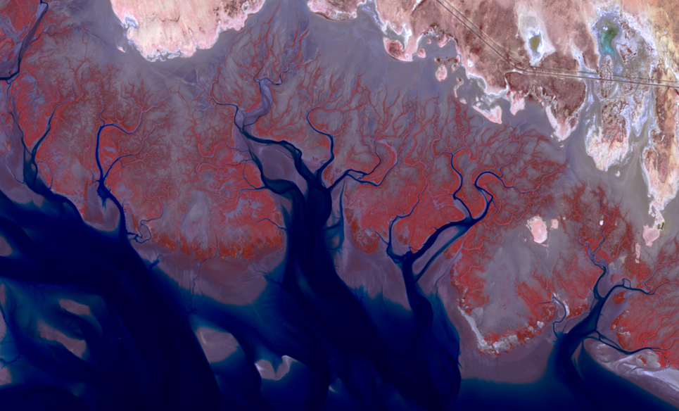 Satellite view of branching river deltas meeting the sea, with red, blue, and brown tones.