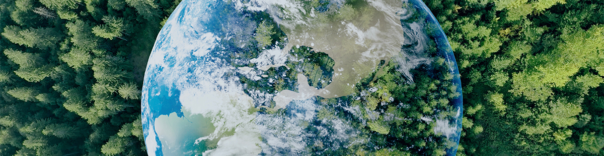 A view of the Earth blending with a dense green forest, symbolizing nature and environmental conservation.
