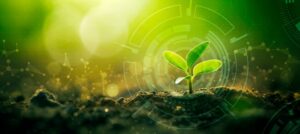 A young green plant sprouting from soil with a futuristic, digital graphic overlay and glowing background.